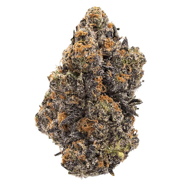 Grape Biscotti